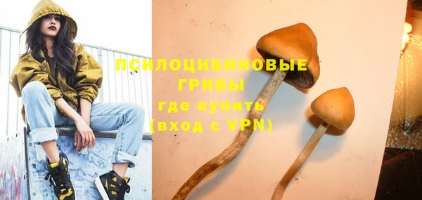 хмурый Дмитров
