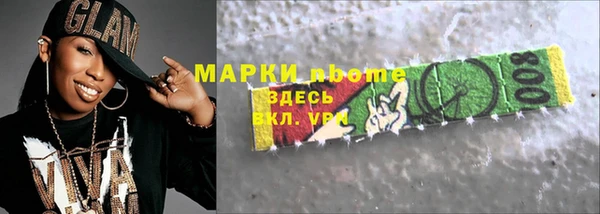 хмурый Дмитров