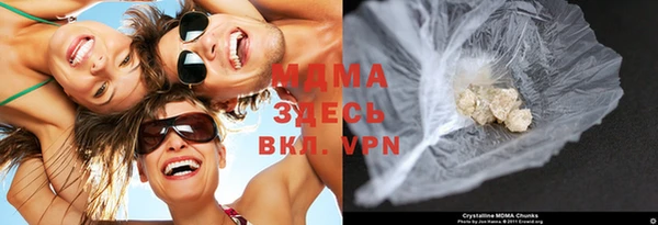 дурь Ельня