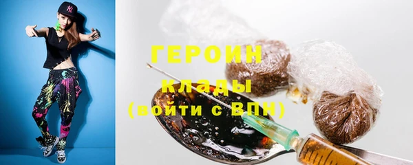 хмурый Дмитров