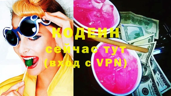 хмурый Дмитров