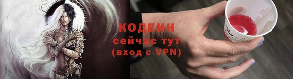 дурь Ельня