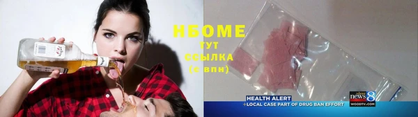 молекула духа Елабуга