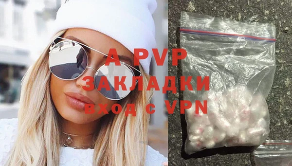 молекула духа Елабуга