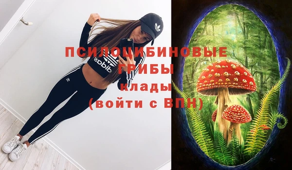 дурь Ельня