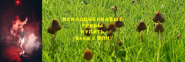 соль курить ск Дмитровск