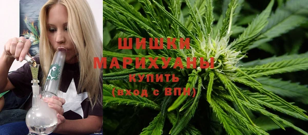 дурь Ельня