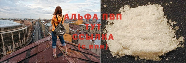 хмурый Дмитров