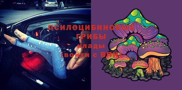 ECSTASY Дмитриев