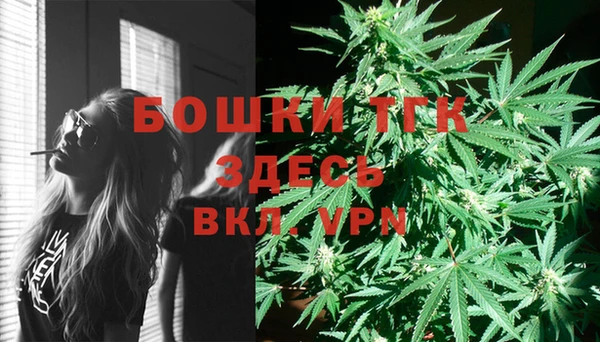 альфа пвп Елизово