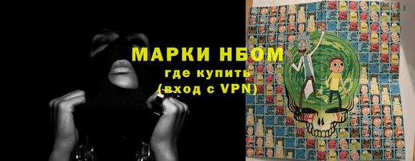 хмурый Дмитров