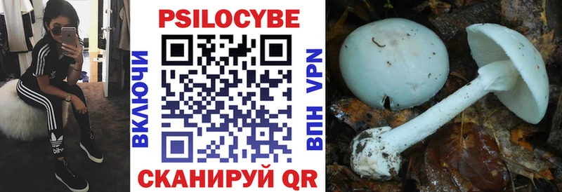 Галлюциногенные грибы MAGIC MUSHROOMS  Сасово 