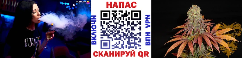Канабис планчик  купить   Сасово 